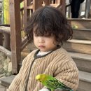 화산2길, 계산3길 | 경주 여행기(Gyeong-Ju)