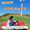 우천목장 | 평창 대관령 하늘목장 트랙터 시간 애견동반 아이랑 가볼만한곳