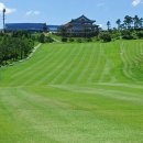 오산관광 주식회사 이미지