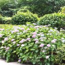 반포우리공인중개사사무소 이미지