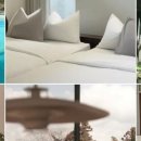 제주호시담 이미지