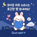 💙 오늘도 따뜻한 마음으로 밤 하트 살포시 누르고 행복한 밤 보내세요 💙 이미지