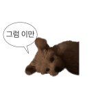 금정로42번길 | [산본 속눈썹] 금정 틴팅 속눈썹펌 위즈래쉬 산본점