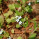 부림중학교 이미지