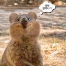 정우사우나 | 11월(1) 내가 한 일, 내가 쓴 돈