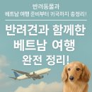 해보축산 | 반려동물과 베트남 여행 준비부터 귀국까지 완벽 가이드 (2024~2025)”