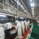 (주)체리부로 금계지점 이미지