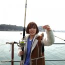 [당진여행] 장고항 삼봉호 좌대낚시 가격/준비물/후기