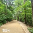 10월 9일(금) 오대산/ 비로봉-선재길-전나무숲길 이미지