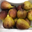 토지식당 이미지