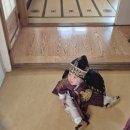 흑빛 | 서울 북촌한옥마을 &#39;예담헌&#39; 에서 둘째 한옥 전통돌스냅사진 내돈내산 후기