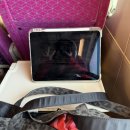 수영교 | 여유로운 부산 당일치기 여행 - 해운대 해목, 옵스, 미피와 친구들, 블루보틀 민락 카페