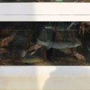 착한어시장 이미지