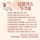 냥클래스 이미지