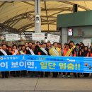 곡성-229 티스토리
