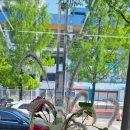 이마트24대전월드컵점 이미지