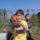 대룡농장 이미지