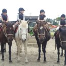 표선도서관 이미지