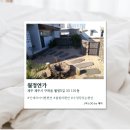 월정연가 | [제주] 제주도펜션 감성풀빌라 찾으면 월정연가 구좌읍펜션 후기