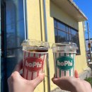 밤마리오광대 영농조합법인 | [제주] 제주 세화/중문 5박 6일 - 중문 5일차