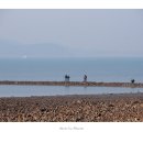 서해바다 이미지