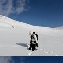 제주소요 이미지