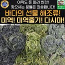 인어나라