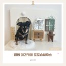 김해운동장 옥외화장실1 | 밀양애견카페 넓은 애견운동장 있는 포포숑하우스