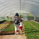 세동농장 이미지