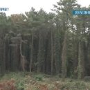 에이스안동환경 이미지