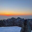 [여행기] 겨울울릉도 백패킹 ch2. 후기편