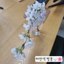 하나로마트 일죽농협본점 이미지