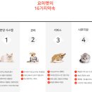 석호로1 이미지