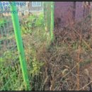 남산리 입석 이미지