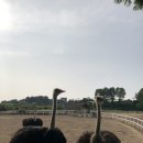 B&B 아그로 이미지