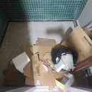 악쓰는 하마 이미지