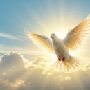 천복에너지 이미지