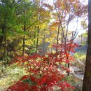 상대농장 이미지