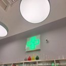 이웃집약국 | 현대미술관 안국역 데이안허스트 현장발권 예약 무료관람 후기