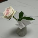 산호동469 | 나의 꽉 채운 7월