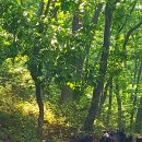 풍도_어촌체험마을 이미지