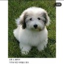 운동 얘기를 줄여보았어요