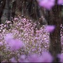 가루실모텔 이미지