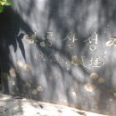 어린왕자게스트하우스 이미지