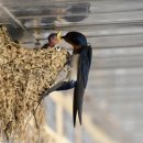 홍성군새마을회관 이미지