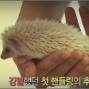 매여울도서관 이미지