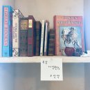 강원도 고성 가볼 만한 곳 추천! 독립서점 [북끝서점] 급류 정대건