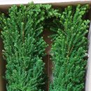 봉도농장 이미지