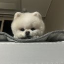 선용숙박 이미지
