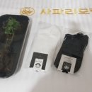 사파리모텔 이미지